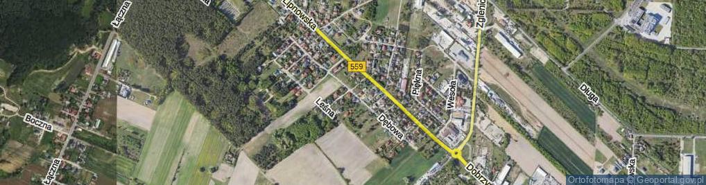 Zdjęcie satelitarne Dębowa ul.